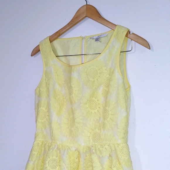 Lauren Conrad Sunflower Embroidered A-line dress - Picture 3 of 3